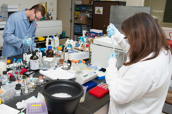 van Breemen students in lab