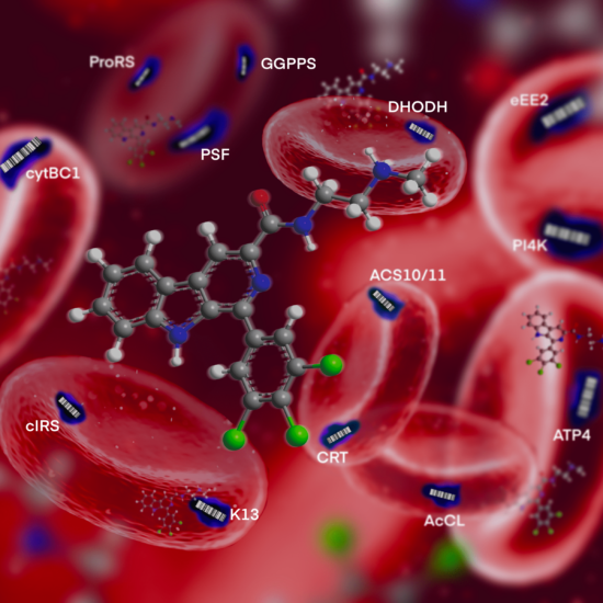 PRC1697 effects on Plasmodium falciparum