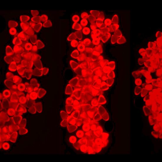 UIC Shaped for Drug Delivery